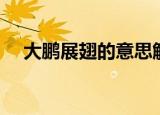 大鹏展翅的意思解释（大鹏展翅的意思）