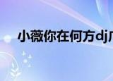 小薇你在何方dj广场舞（小薇你在何方）