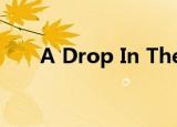 A Drop In The Ocean - Ron Pope