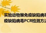 实验动物猴免疫缺陷病毒PCR检测方法（关于实验动物猴免疫缺陷病毒PCR检测方法介绍）