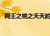 网王之桃之夭夭的小说（网王之桃之夭夭）