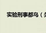 实验刑事都鸟（关于实验刑事都鸟介绍）