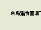 凶鸟猎食图谱下载（凶鸟猎食图谱）