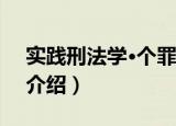 实践刑法学·个罪1（关于实践刑法学·个罪1介绍）