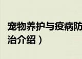 宠物养护与疫病防治（关于宠物养护与疫病防治介绍）