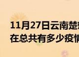 11月27日云南楚雄疫情新增确诊数及楚雄现在总共有多少疫情