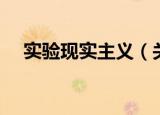 实验现实主义（关于实验现实主义介绍）