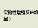 实验性增殖反应堆（关于实验性增殖反应堆介绍）