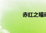 赤红之瞳动漫（赤瞳之刃）