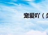 宠爱吖（关于宠爱吖介绍）
