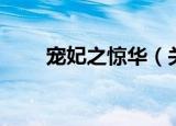 宠妃之惊华（关于宠妃之惊华介绍）