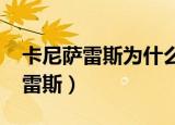 卡尼萨雷斯为什么缺席2002世界杯（卡尼萨雷斯）