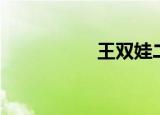 王双娃二审（王双娃）