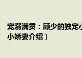 宠溺满贯：顾少的独宠小娇妻（关于宠溺满贯：顾少的独宠小娇妻介绍）