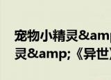 宠物小精灵&《异世》（关于宠物小精灵&《异世》介绍）