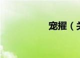 宠擢（关于宠擢介绍）