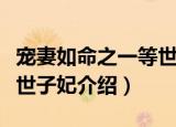 宠妻如命之一等世子妃（关于宠妻如命之一等世子妃介绍）