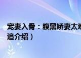 宠妻入骨：腹黑娇妻太难追（关于宠妻入骨：腹黑娇妻太难追介绍）