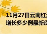 11月27日云南红河最新疫情状况及红河今天增长多少例最新疫情
