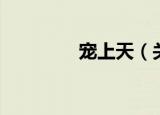 宠上天（关于宠上天介绍）