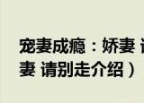 宠妻成瘾：娇妻 请别走（关于宠妻成瘾：娇妻 请别走介绍）
