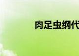 肉足虫纲代表动物（肉足虫）