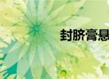封脐膏悬玉环（悬玉环）