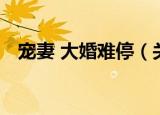 宠妻 大婚难停（关于宠妻 大婚难停介绍）
