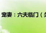 宠妻：六夫临门（关于宠妻：六夫临门介绍）