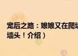 宠后之路：娘娘又在爬墙头！（关于宠后之路：娘娘又在爬墙头！介绍）