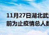 11月27日湖北武汉疫情今天多少例及武汉目前为止疫情总人数