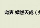 宠妻 婚然天成（关于宠妻 婚然天成介绍）