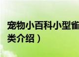 宠物小百科小型雀类（关于宠物小百科小型雀类介绍）