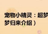 宠物小精灵：超梦归来（关于宠物小精灵：超梦归来介绍）
