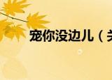 宠你没边儿（关于宠你没边儿介绍）