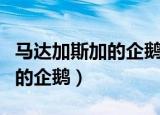 马达加斯加的企鹅电影免费观看（马达加斯加的企鹅）