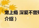 宠上瘾 深爱不曾殇（关于宠上瘾 深爱不曾殇介绍）