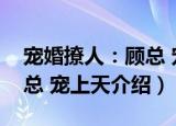 宠婚撩人：顾总 宠上天（关于宠婚撩人：顾总 宠上天介绍）