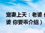 宠妻上天：老婆 你要乖（关于宠妻上天：老婆 你要乖介绍）