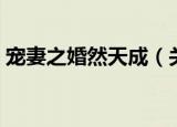 宠妻之婚然天成（关于宠妻之婚然天成介绍）