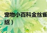 宠物小百科金丝雀（关于宠物小百科金丝雀介绍）