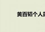 黄百韬个人简介（黄百韬简介）
