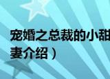 宠婚之总裁的小甜妻（关于宠婚之总裁的小甜妻介绍）