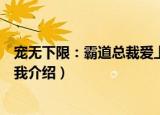宠无下限：霸道总裁爱上我（关于宠无下限：霸道总裁爱上我介绍）
