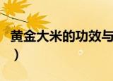 黄金大米的功效与作用及食用方法（黄金大米）