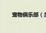 宠物俱乐部（关于宠物俱乐部介绍）