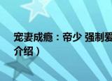 宠妻成瘾：帝少 强制爱！（关于宠妻成瘾：帝少 强制爱！介绍）