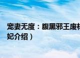 宠妻无度：腹黑邪王废材妃（关于宠妻无度：腹黑邪王废材妃介绍）