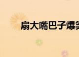 扇大嘴巴子爆笑合集（扇大嘴巴子）