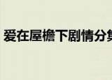 爱在屋檐下剧情分集介绍（爱在屋檐下剧情）
